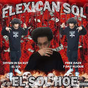 Flexican Sol
