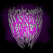 I Destroyed Leviathan