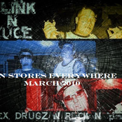 SEX DRUGS N ROCK N ROLL