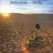 J.D. Souther: Black Rose