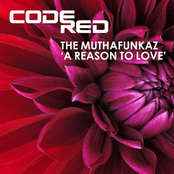 A Reason to Love