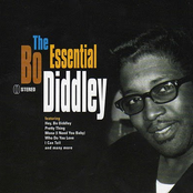 The Essential Bo Diddley