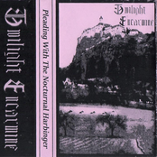 Pleading With The Nocturnal Harbinger