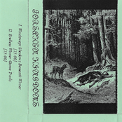 Beyond The Old Growth