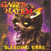 Gabber Nation 3 - Bleeding Ears