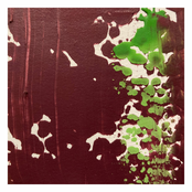 Night's Conversations