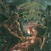 Triumph Of Evilution