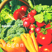 Vegan