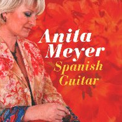 Spanish Guitar by Anita Meyer