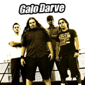 galo darve