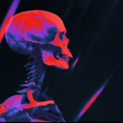SKELETONS