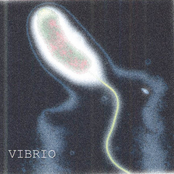 Vibrio