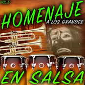 Homenaje A Los Grandes En Salsa vol.5 (Vol.5)