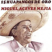 Huapangos de oro