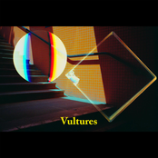Vultures