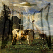 #101: Sacred Cows