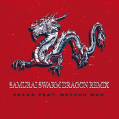 SAMURAI SWARM (DRAGON REMIX)
