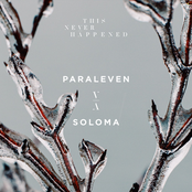 Paraleven: Soloma