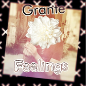 Feelings