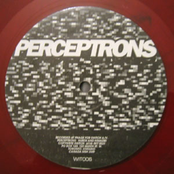 perceptrons