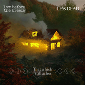 That Which Still Aches - Single