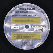 Share a little shelter