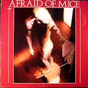 After Eight by Afraid Of Mice