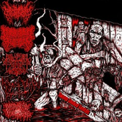 Swamp Smoked Genitals