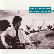 When The Sun Shines by Steve Forbert