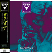 PD-163 BlɅCK WALL