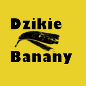 dzikie banany