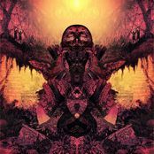 The First Thousand Days