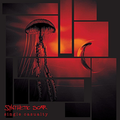 Out Of My Mind by Synthetic Scar