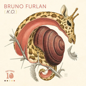 Bruno Furlan: K.O.