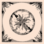 Perpetual State Of Oracular Dream