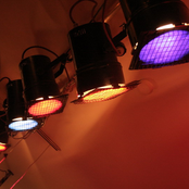 the kings are dead long live the door 24s