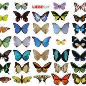 Hagen Rether – Liebe fünf
