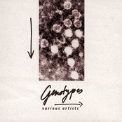 Genotypes