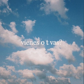 Vienes o T Vas?