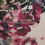 Romanticized Suicide