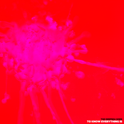 To Know Everything Is