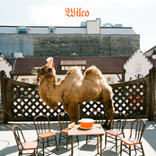 Sonny Feeling by Wilco