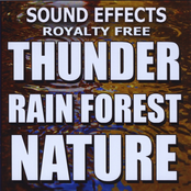 Thunder, Rain Forest, Nature