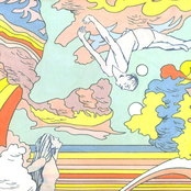 The Cactus Has a Point