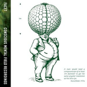 Conscious Mental field Recordings