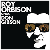 Give Myself A Party by Roy Orbison