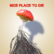 Nice Place to Die