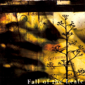 Feather Duster Premiere by Fall Of The Leafe