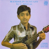 Mandolin Ecstasy