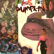 Death Came Early This Year /// Y/N Toaster